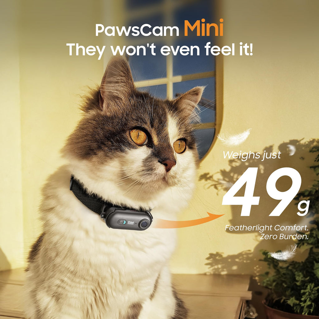 PAWPAWSEN 4K Pet Camera Collar – Mini Action Camera for Pets with Video Recording, Wireless Body Cam for Pet Supplies, Outdoor/Indoor Gift for Cats and Dogs