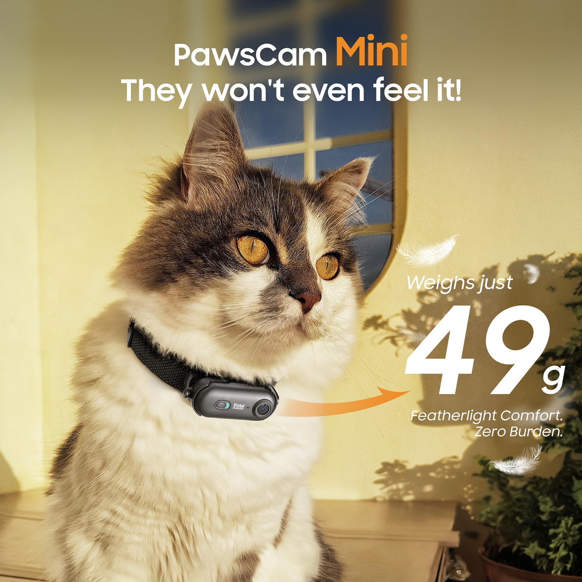 PAWPAWSEN 4K Pet Camera Collar – Mini Action Camera for Pets with Video Recording, Wireless Body Cam for Pet Supplies, Outdoor/Indoor Gift for Cats and Dogs