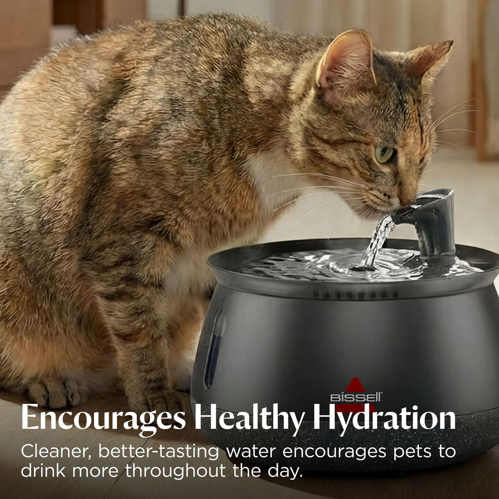 BISSELL HydrateWell Cat Water Fountain
