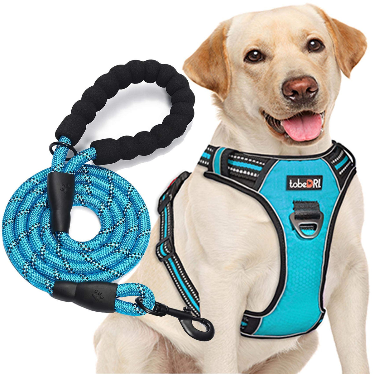 tobeDRI No Pull Dog Harness Adjustable Reflective Oxford Easy Control Medium Large Dog Harness with A Free Heavy Duty 5ft Dog Leash