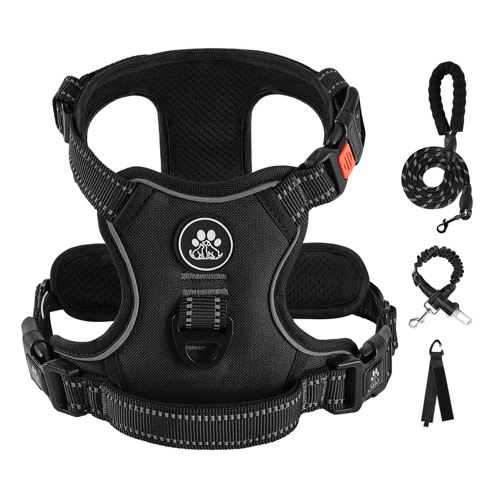 IVY&LANE Adjustable Dog Harness & Leash Set for All Sizes