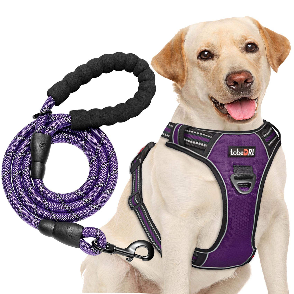 tobeDRI No Pull Dog Harness Adjustable Reflective Oxford Easy Control Medium Large Dog Harness with A Free Heavy Duty 5ft Dog Leash