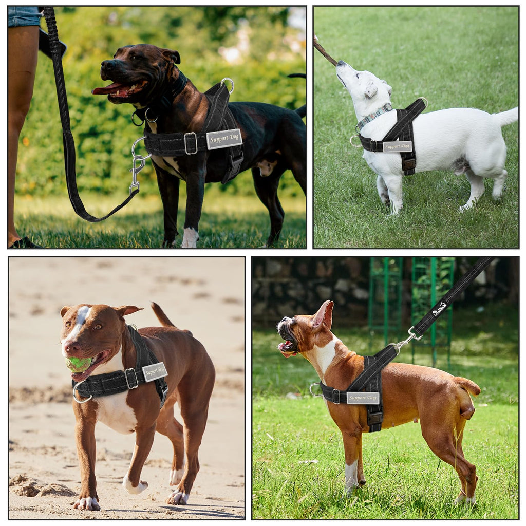 SlowTon No Pull Dog Harness and Leash Set - Heavy Duty, Soft Padded