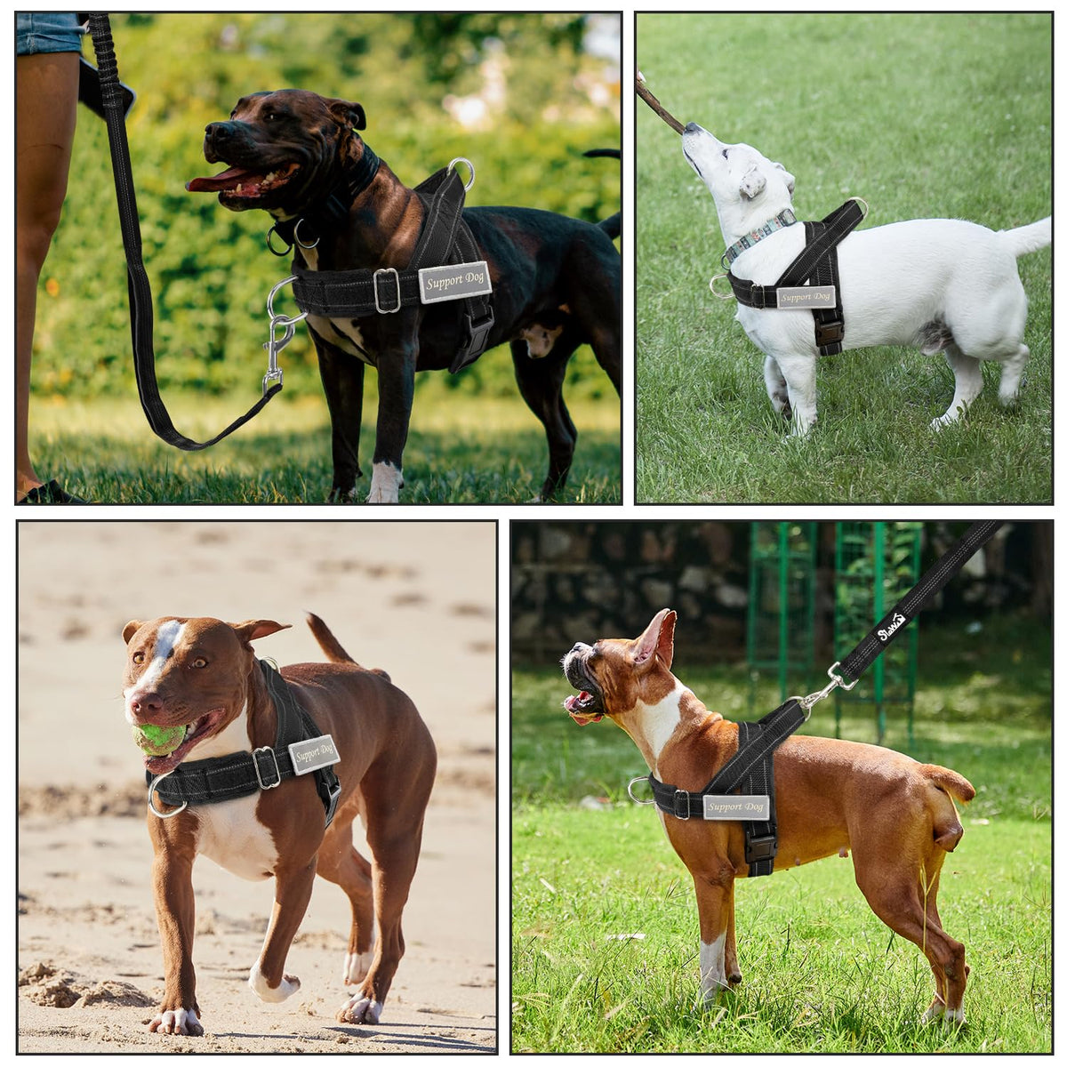 SlowTon No Pull Dog Harness and Leash Set - Heavy Duty, Soft Padded