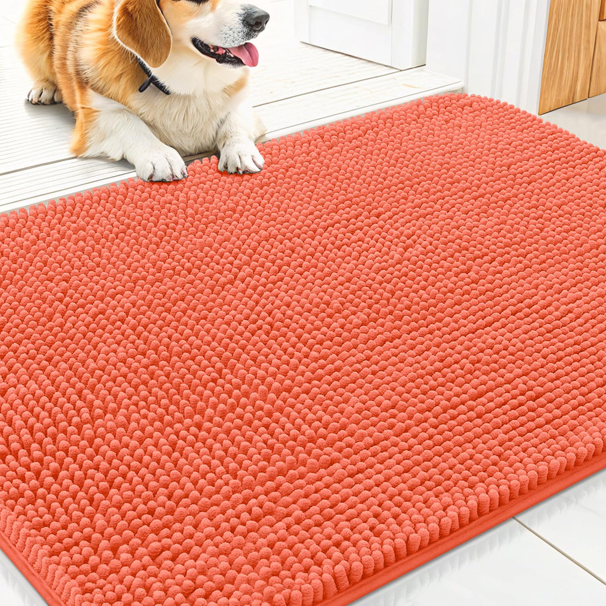Smiry Dog Door Mat for Muddy Paws, Absorbent Dirt Trapper, Non-Slip Washable Chenille Entryway Rug for Inside Floor