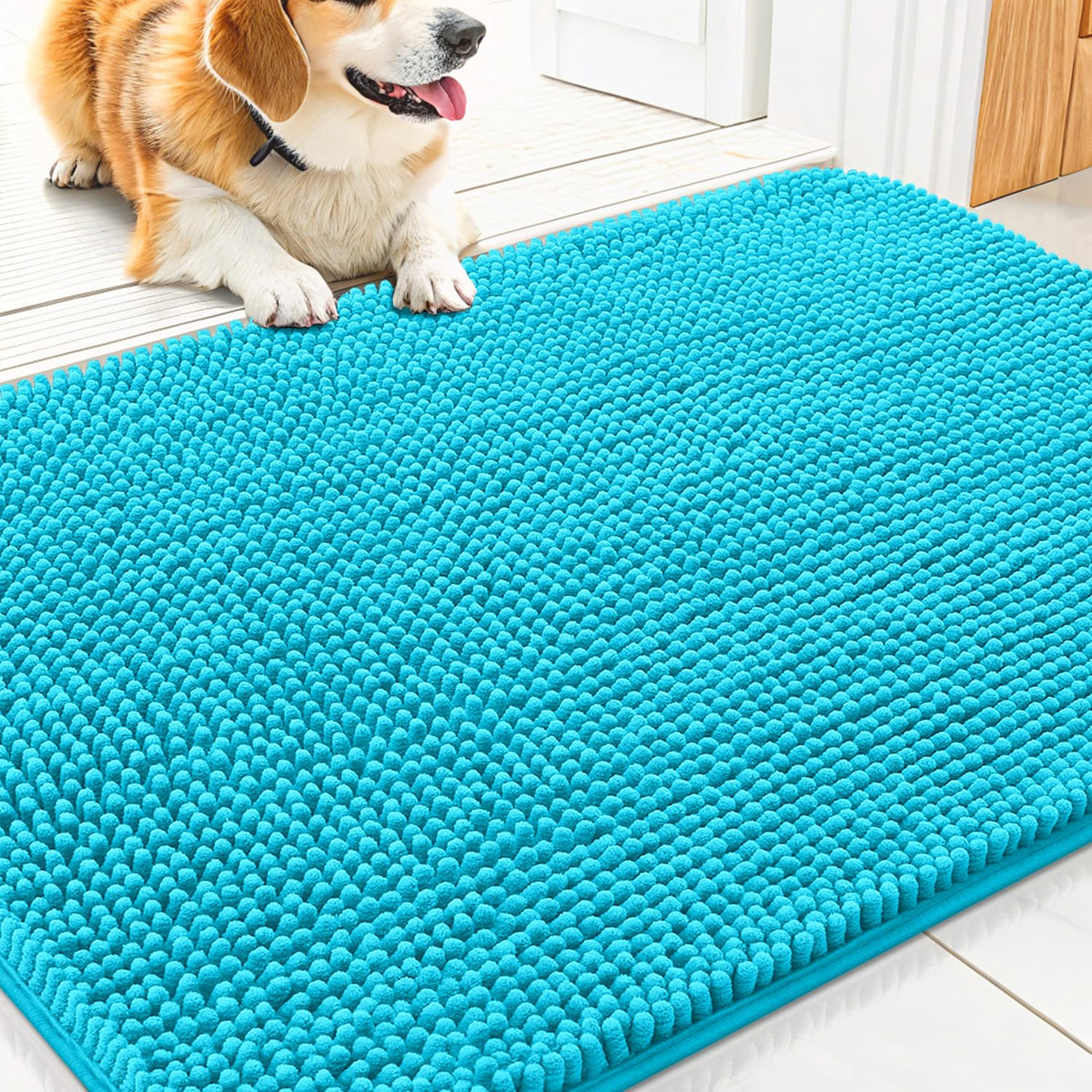 Smiry Dog Door Mat for Muddy Paws, Absorbent Dirt Trapper, Non-Slip Washable Chenille Entryway Rug for Inside Floor