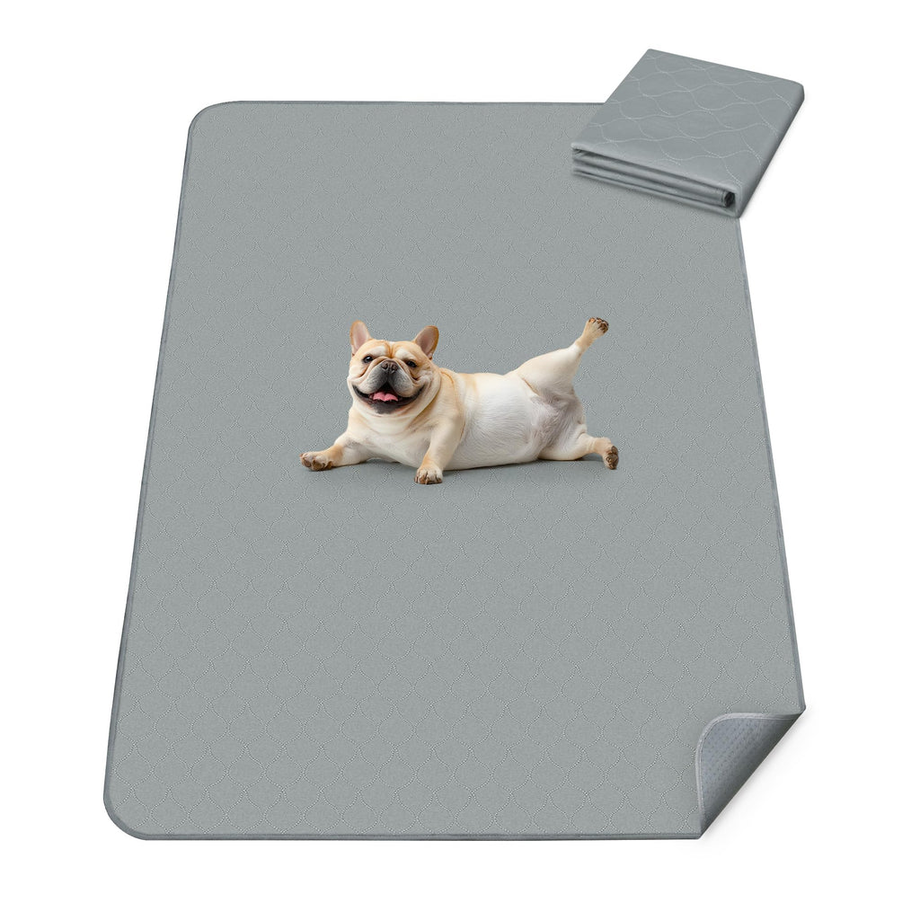 FXW Washable Pee Pads for Dogs, Super Absorbent