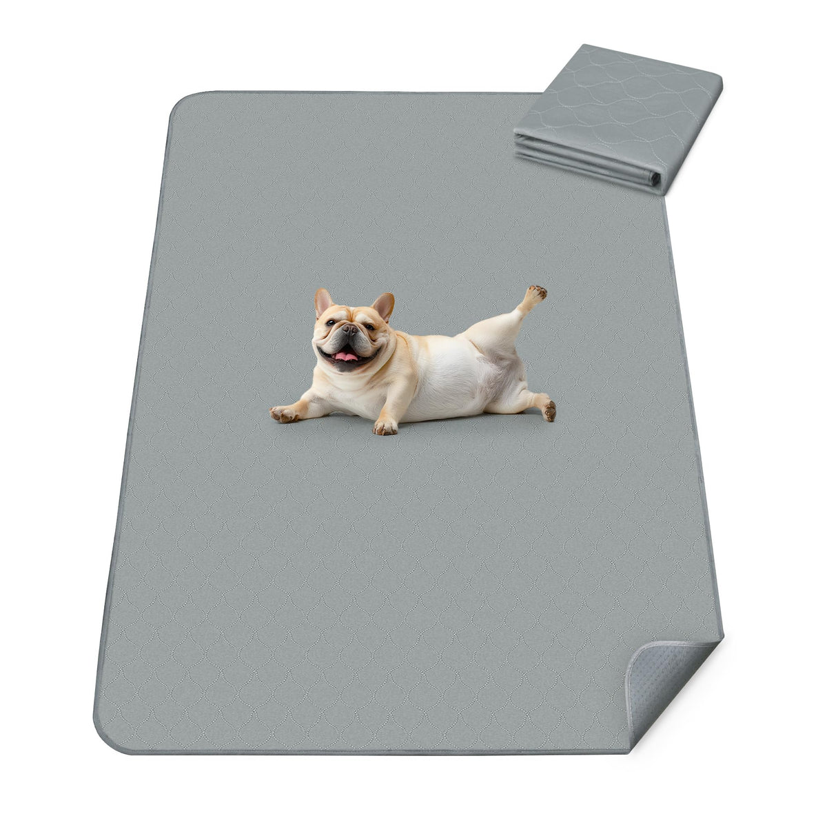 FXW Washable Pee Pads for Dogs, Super Absorbent