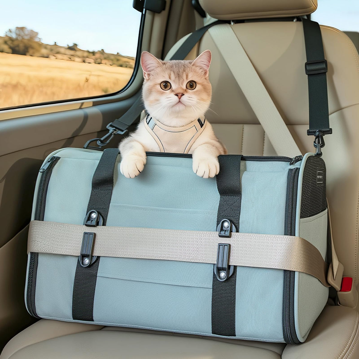 Petsfit 18 X 11 X 11 Airline Approved & Cat Car Carrier, with Patent Safety Buckles & Lockable Zippers Preventing Escapes, Breathable Mesh & Padded Mat — Portable, Stress-Free Travel Carrier
