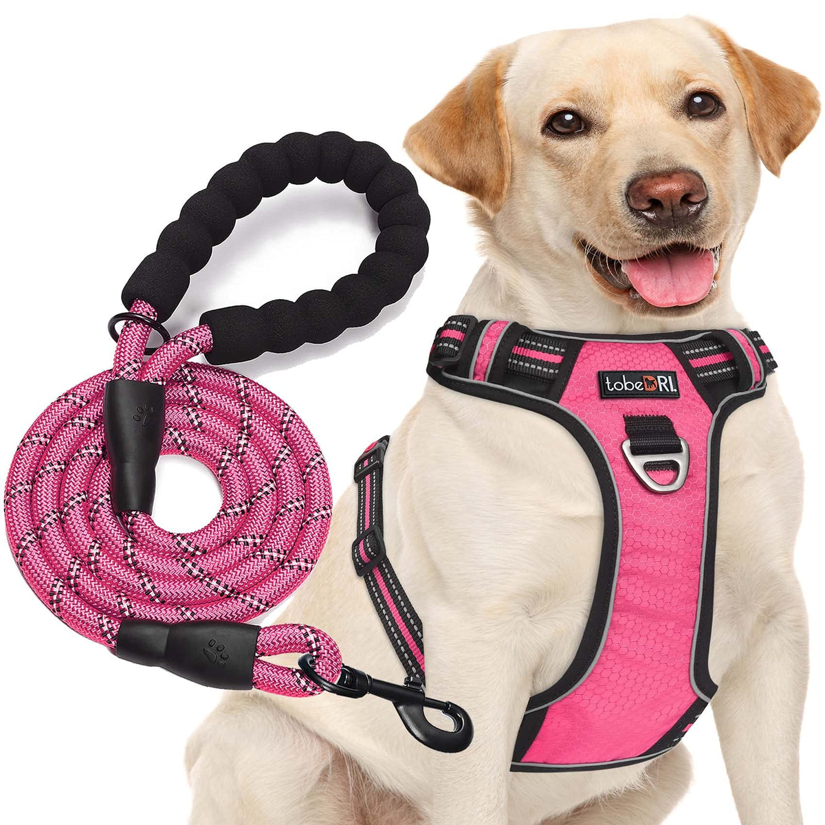 tobeDRI No Pull Dog Harness Adjustable Reflective Oxford Easy Control Medium Large Dog Harness with A Free Heavy Duty 5ft Dog Leash