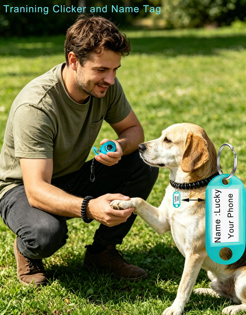 HoAoOo Dog Training Clicker with Sring Wrist and Keyring - Pet Dog Training Clickers for Puppy, Cat, Potty, Bird, Horse, Pet, Trainer Training Tools, Behavior Aids