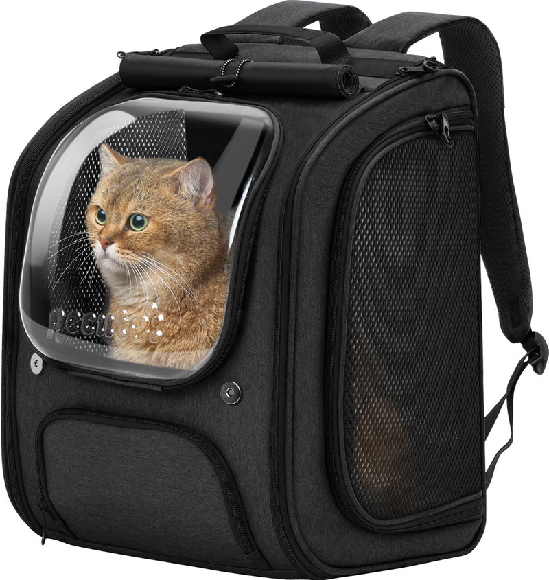 Pecute Bubble Cat Backpack Carrier for Travel