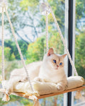 Cat Window Perch Bed Hammock