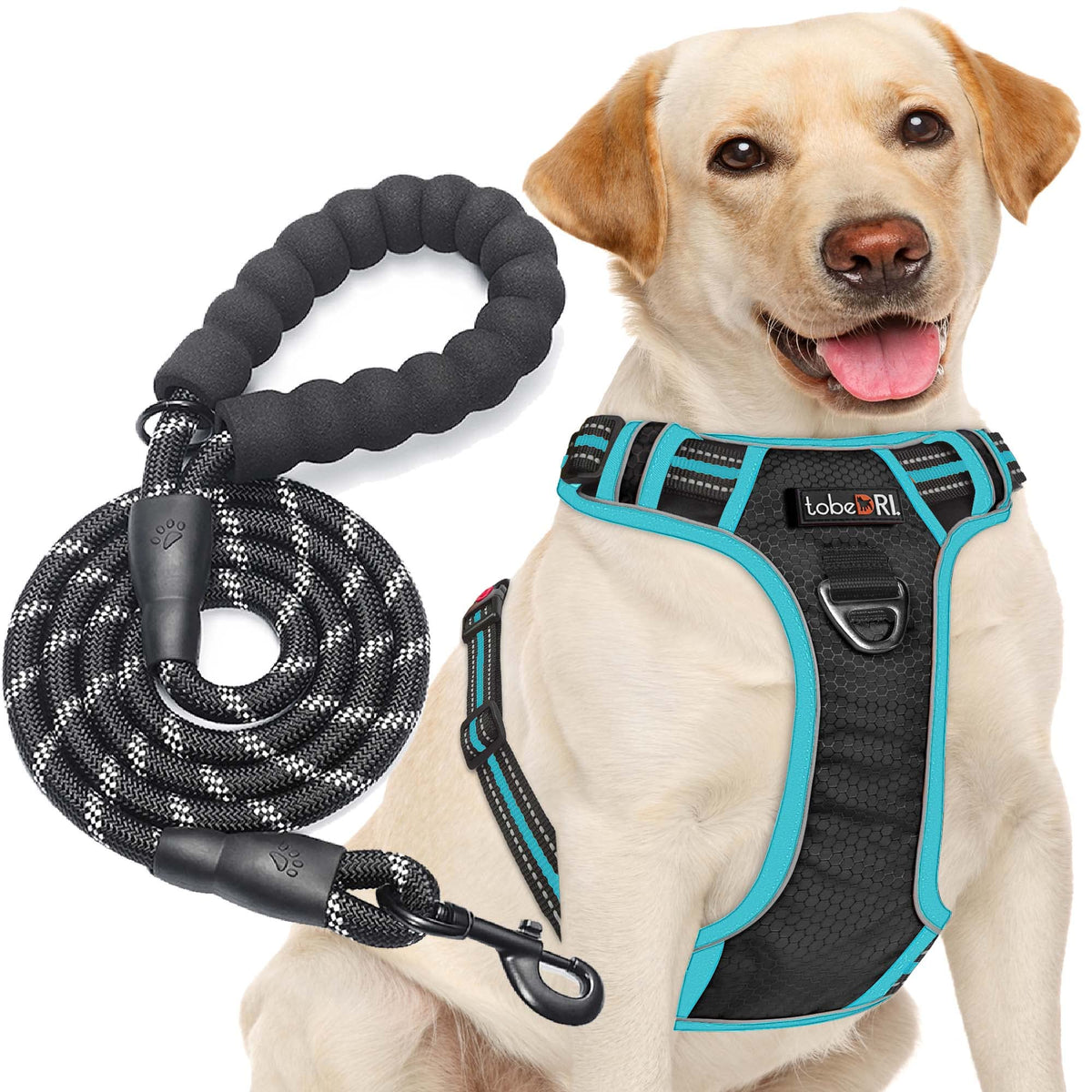 tobeDRI No Pull Dog Harness Adjustable Reflective Oxford Easy Control Medium Large Dog Harness with A Free Heavy Duty 5ft Dog Leash