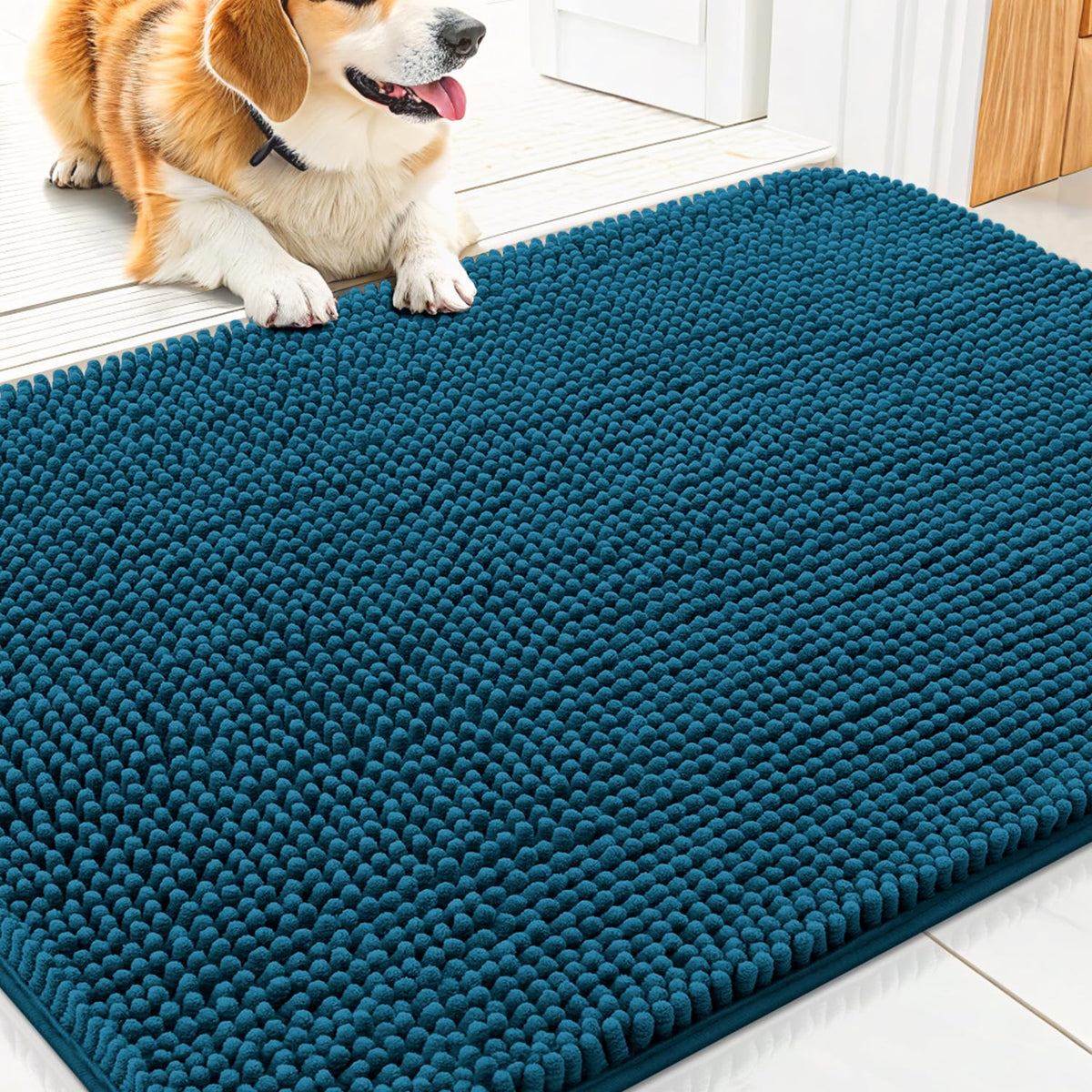 Smiry Dog Door Mat for Muddy Paws, Absorbent Dirt Trapper, Non-Slip Washable Chenille Entryway Rug for Inside Floor