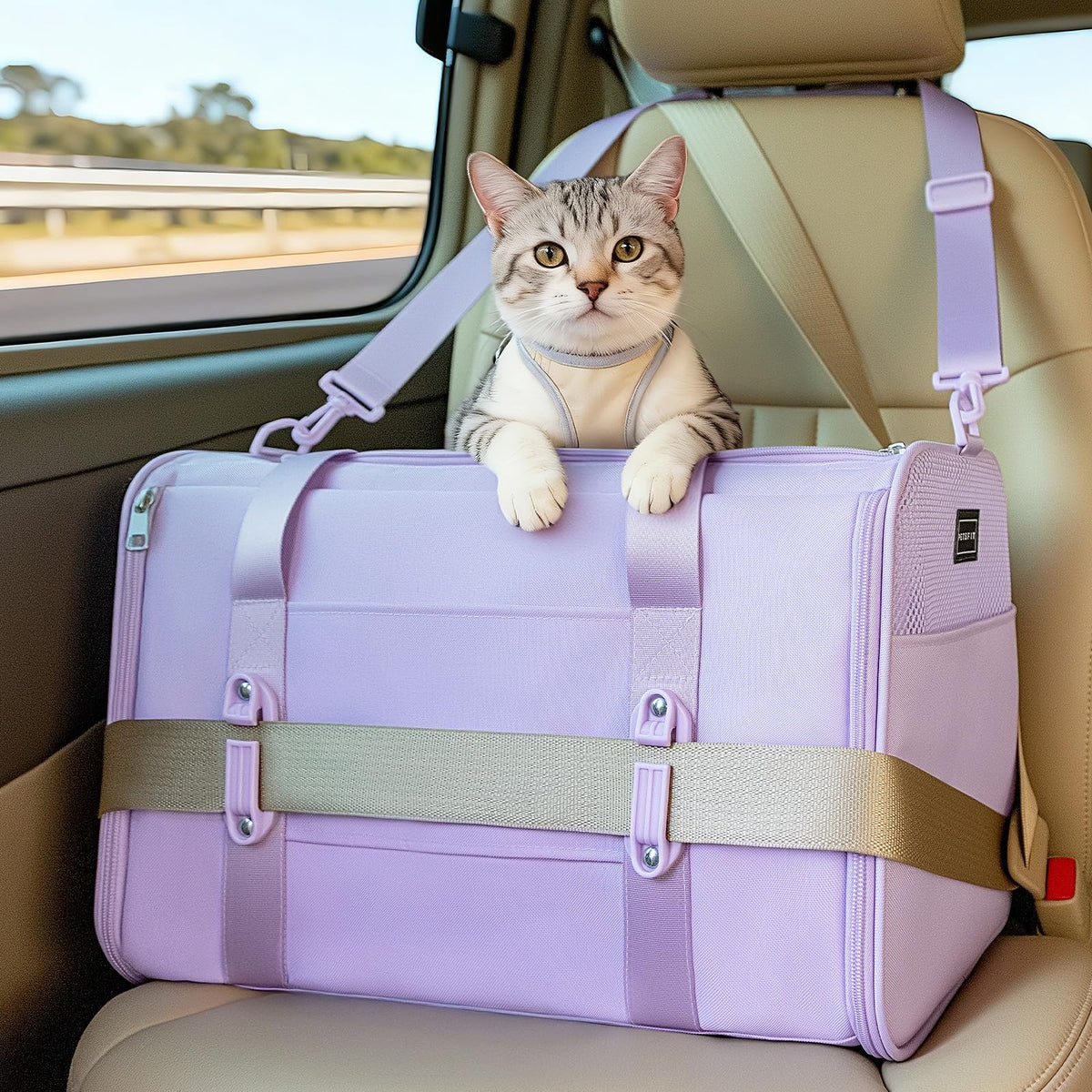 Petsfit 18 X 11 X 11 Airline Approved & Cat Car Carrier, with Patent Safety Buckles & Lockable Zippers Preventing Escapes, Breathable Mesh & Padded Mat — Portable, Stress-Free Travel Carrier