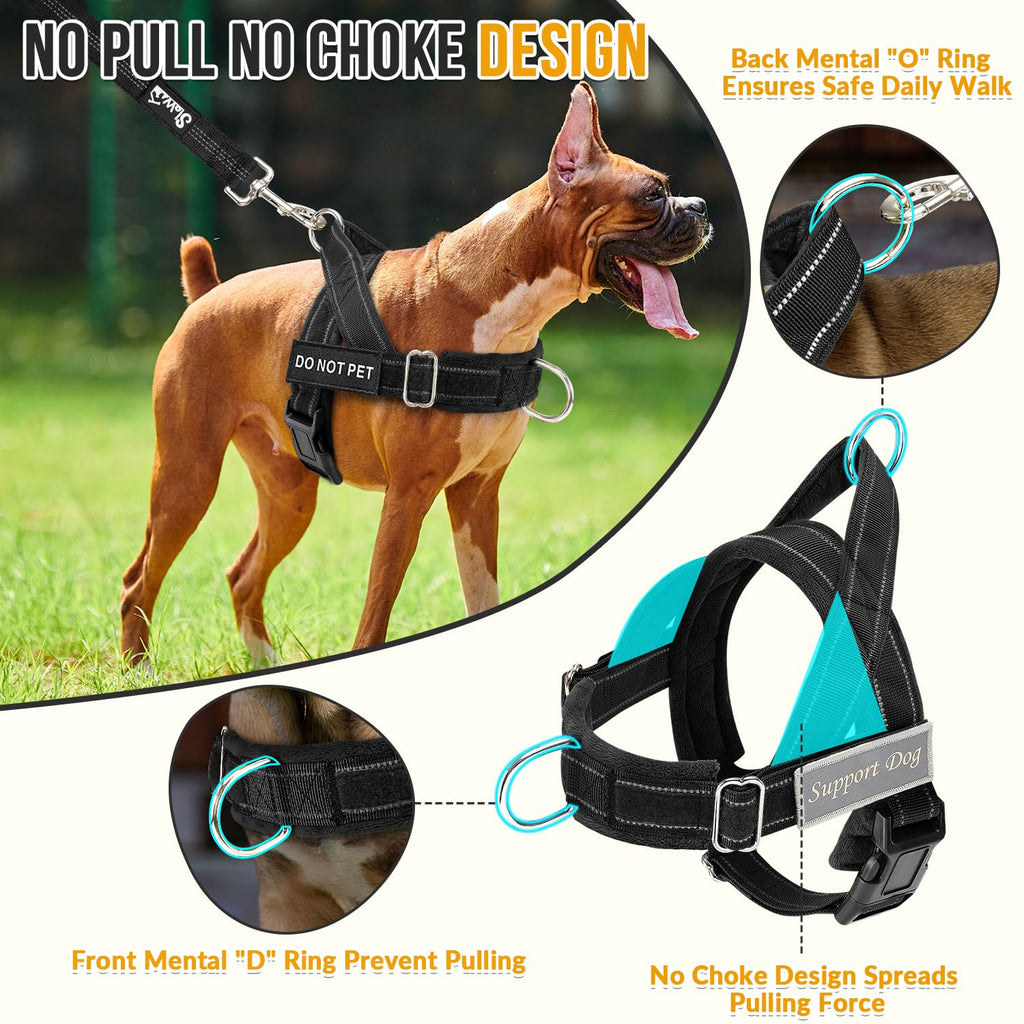 SlowTon No Pull Dog Harness and Leash Set - Heavy Duty, Soft Padded