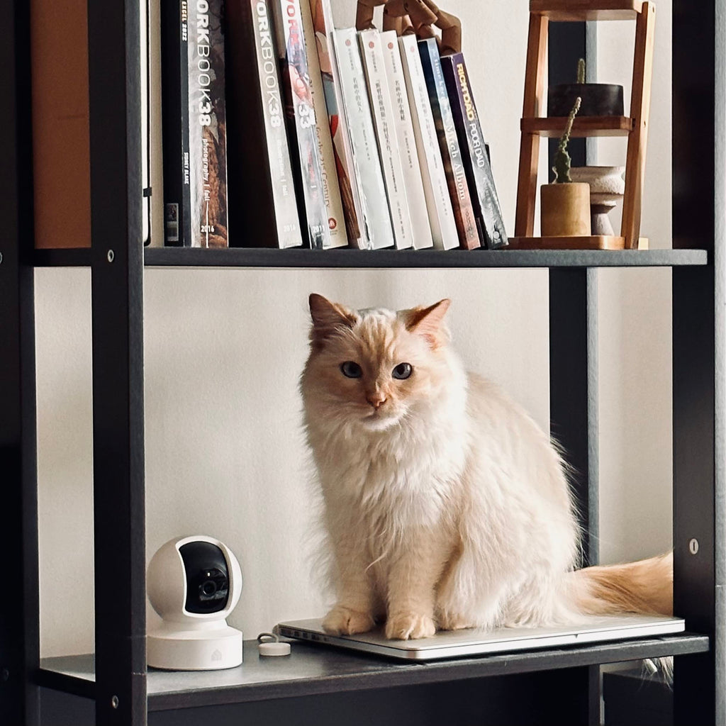 Kasa Indoor Pan/Tilt Smart Security Camera, 1080p HD Dog Camera 2.4GHz with Night Vision