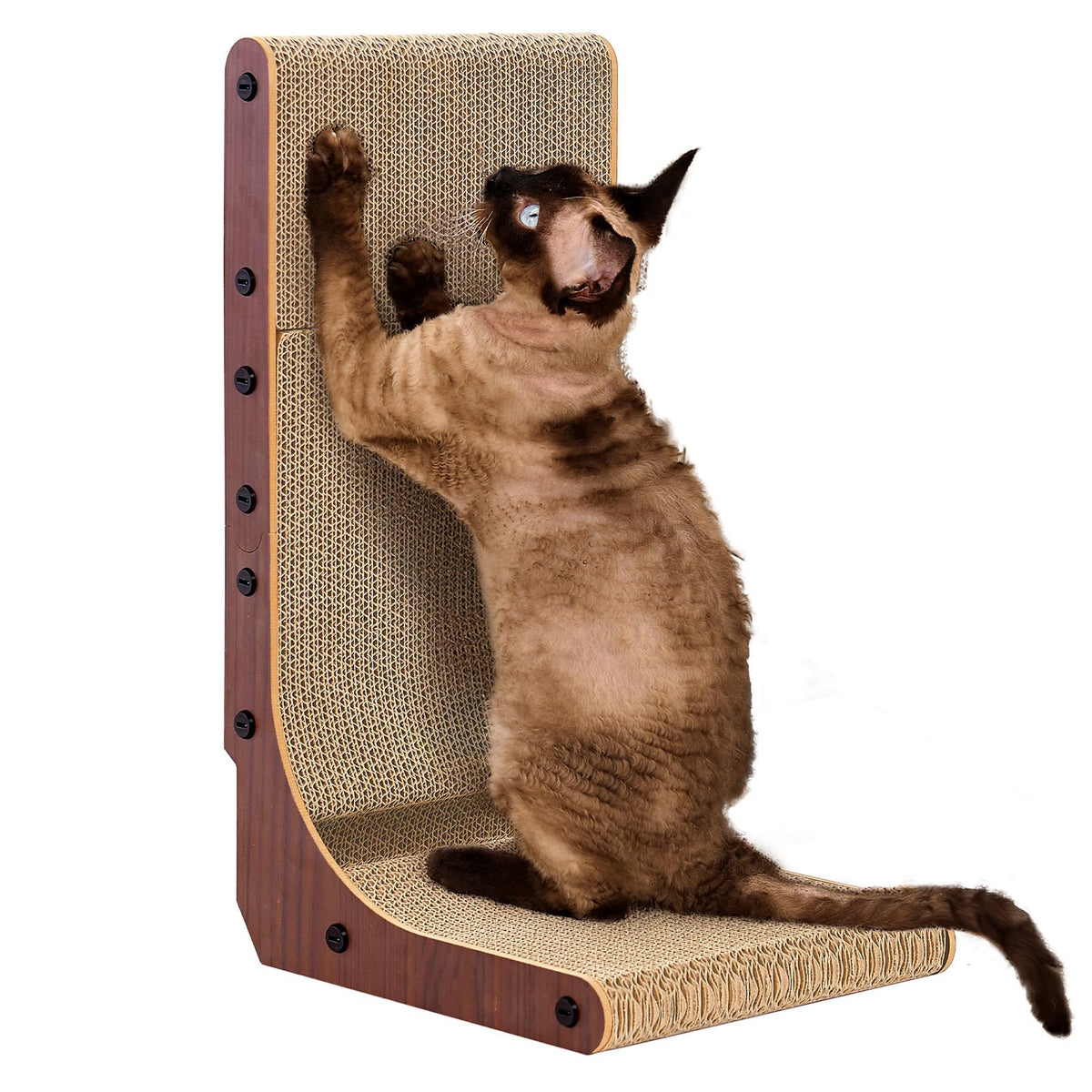 EHEYCIGA Cardboard Cat Scratcher for Indoor Kitten Cats, L Shaped Vertical Cat Scratching Board with Ball Cat Toy, Cat Scratcher Pad