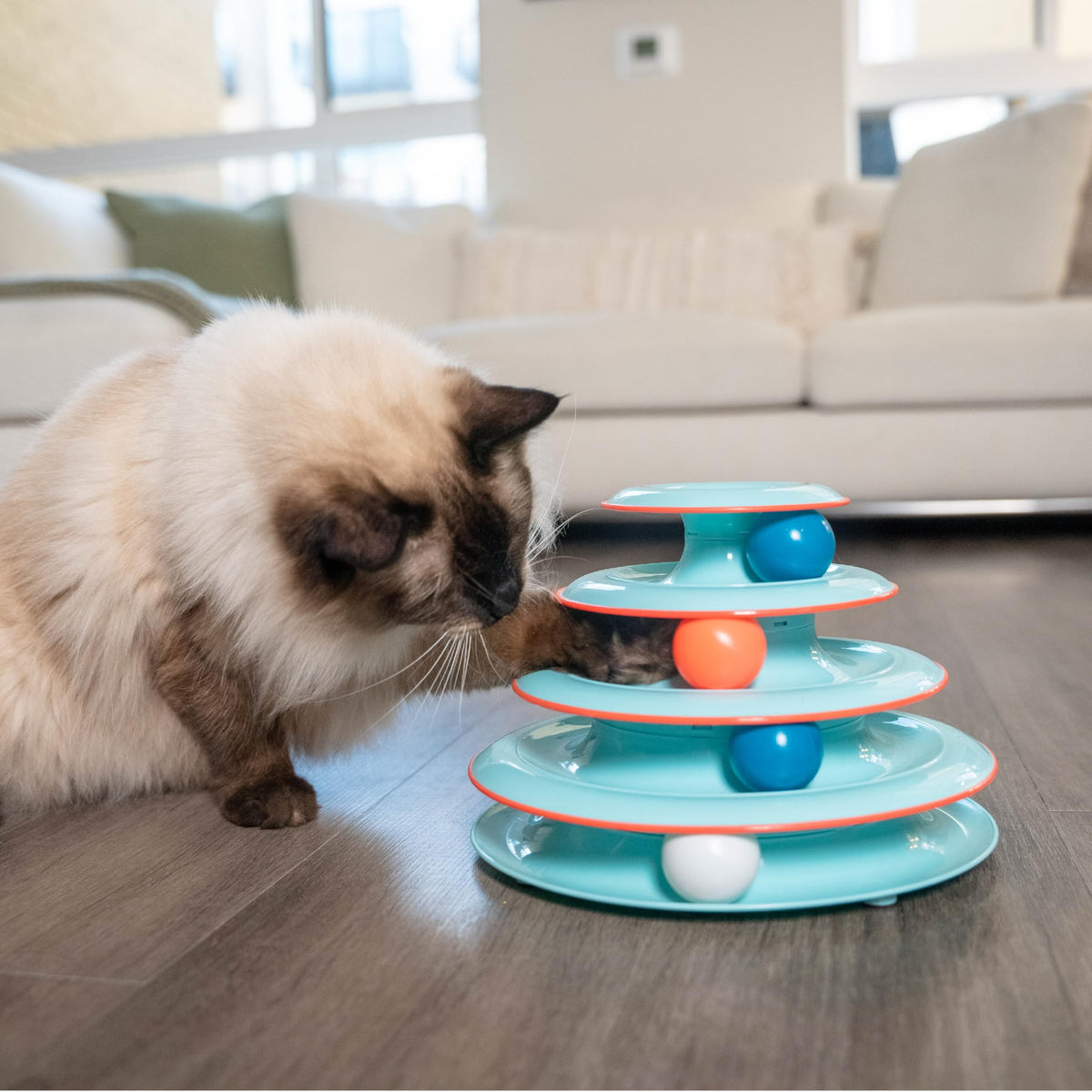 Catstages Cat Track Toy, Rolling Ball Toy for Indoor Cats