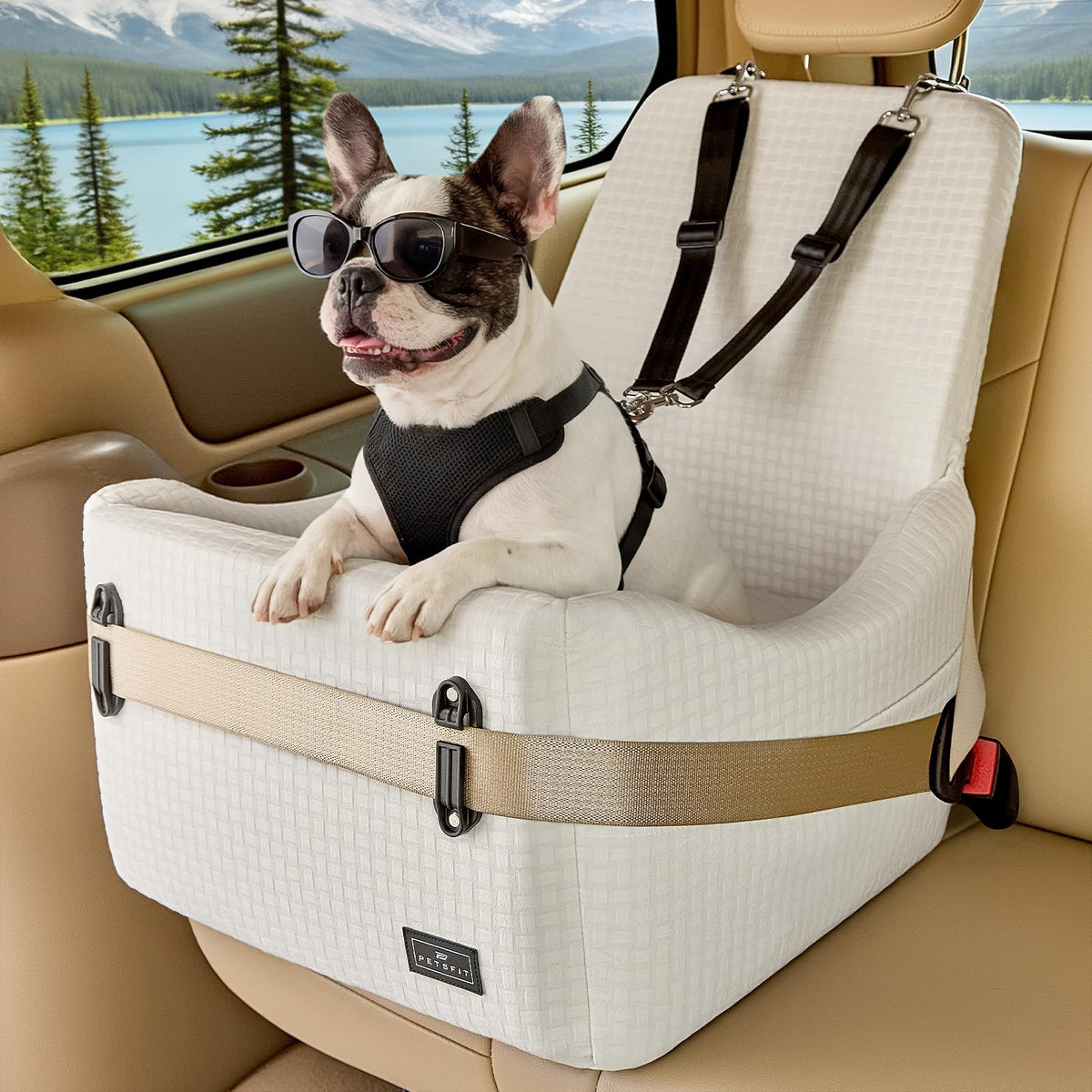 PETSFIT Dog Booster Car Seat for Small/Medium Dogs Up to 35 lbs – Patented Safety System, 5" Memory Foam Pet Car Seat, Fully Detachable and Washable Cover