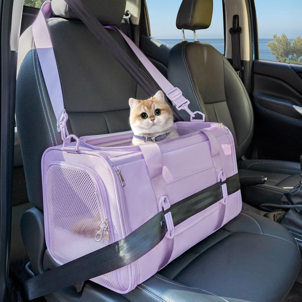 Petsfit 18 X 11 X 11 Airline Approved & Cat Car Carrier, with Patent Safety Buckles & Lockable Zippers Preventing Escapes, Breathable Mesh & Padded Mat — Portable, Stress-Free Travel Carrier