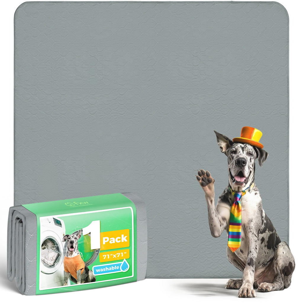 FXW Washable Pee Pads for Dogs, Super Absorbent