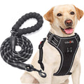 tobeDRI No Pull Dog Harness Adjustable Reflective Oxford Easy Control Medium Large Dog Harness with A Free Heavy Duty 5ft Dog Leash
