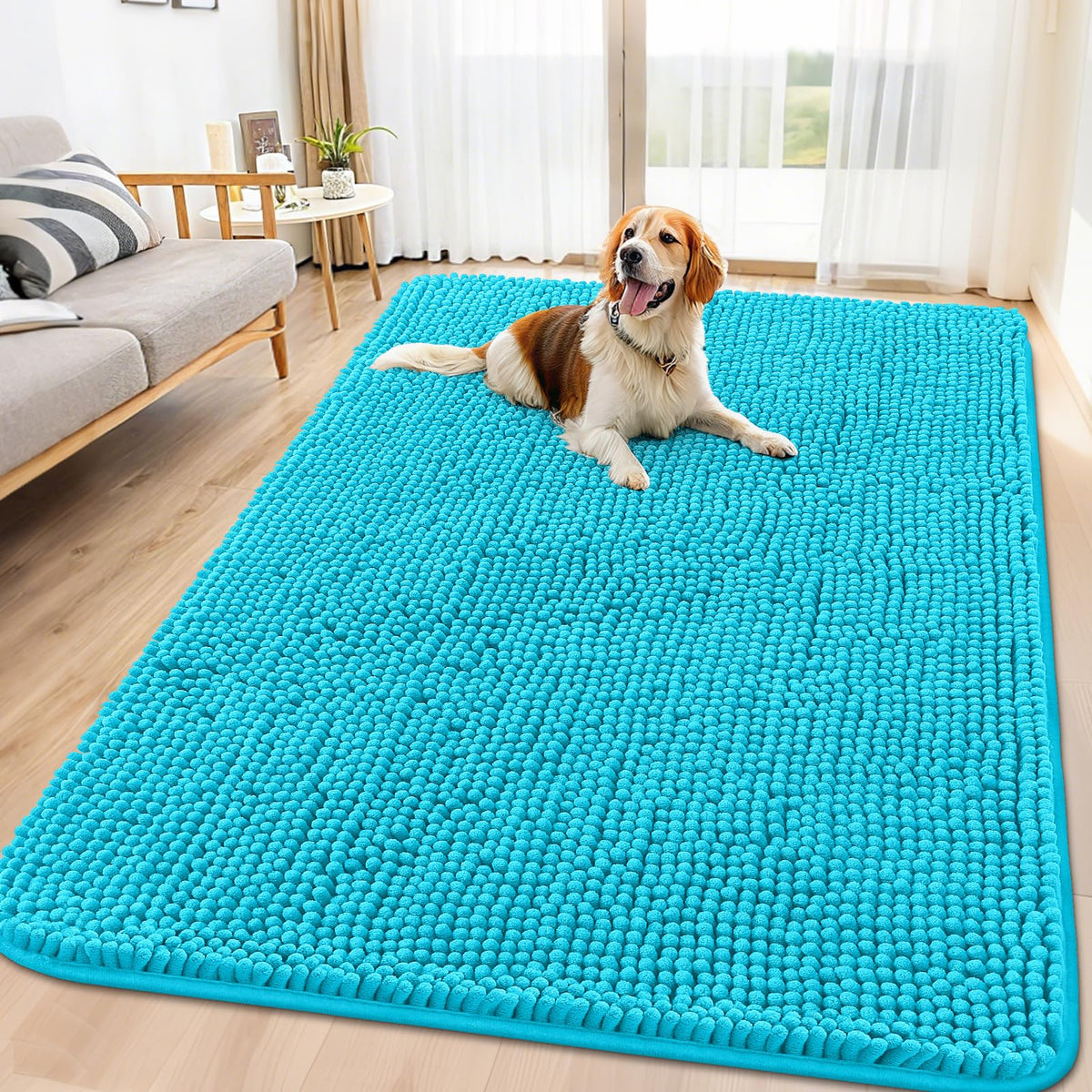Smiry Dog Door Mat for Muddy Paws, Absorbent Dirt Trapper, Non-Slip Washable Chenille Entryway Rug for Inside Floor