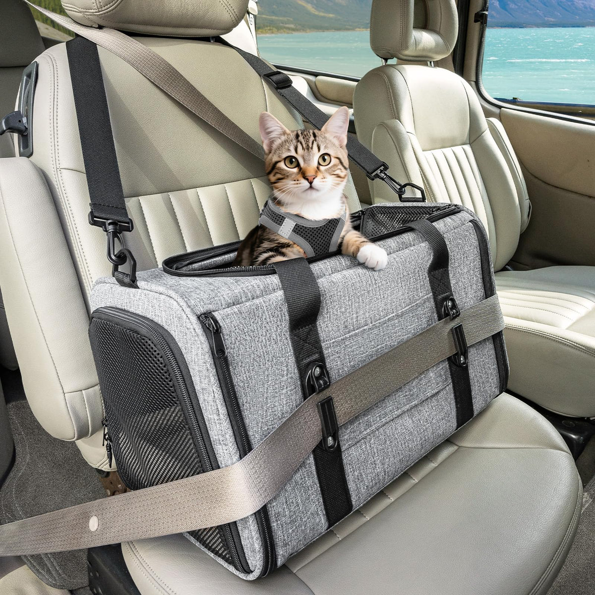 Petsfit 18 X 11 X 11 Airline Approved & Cat Car Carrier, with Patent Safety Buckles & Lockable Zippers Preventing Escapes, Breathable Mesh & Padded Mat — Portable, Stress-Free Travel Carrier