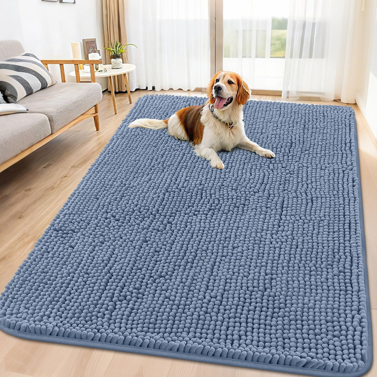 Smiry Dog Door Mat for Muddy Paws, Absorbent Dirt Trapper, Non-Slip Washable Chenille Entryway Rug for Inside Floor