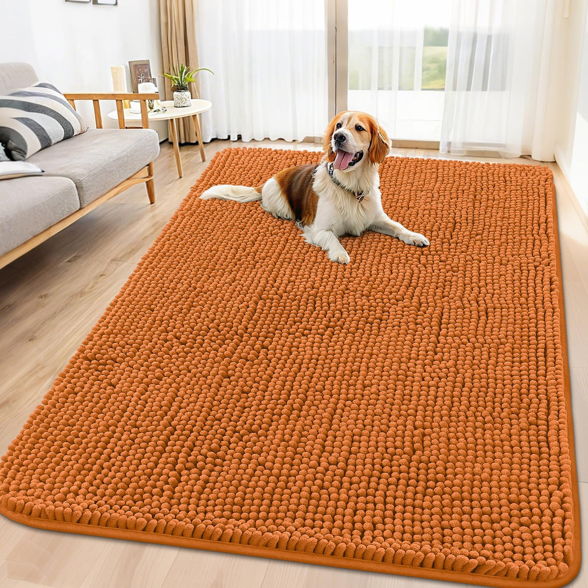 Smiry Dog Door Mat for Muddy Paws, Absorbent Dirt Trapper, Non-Slip Washable Chenille Entryway Rug for Inside Floor