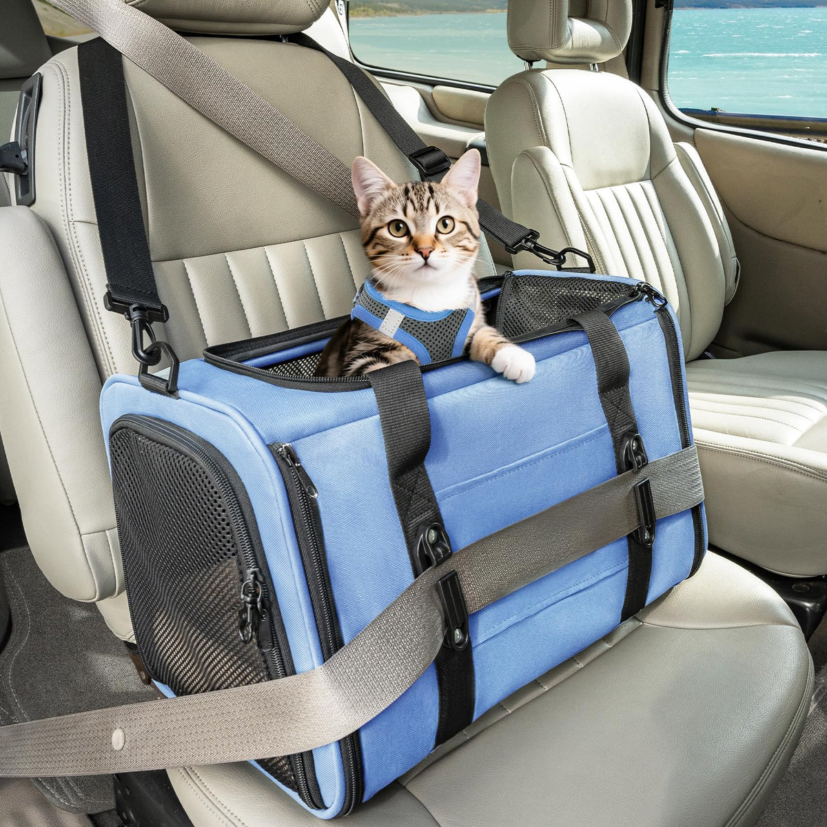 Petsfit 18 X 11 X 11 Airline Approved & Cat Car Carrier, with Patent Safety Buckles & Lockable Zippers Preventing Escapes, Breathable Mesh & Padded Mat — Portable, Stress-Free Travel Carrier