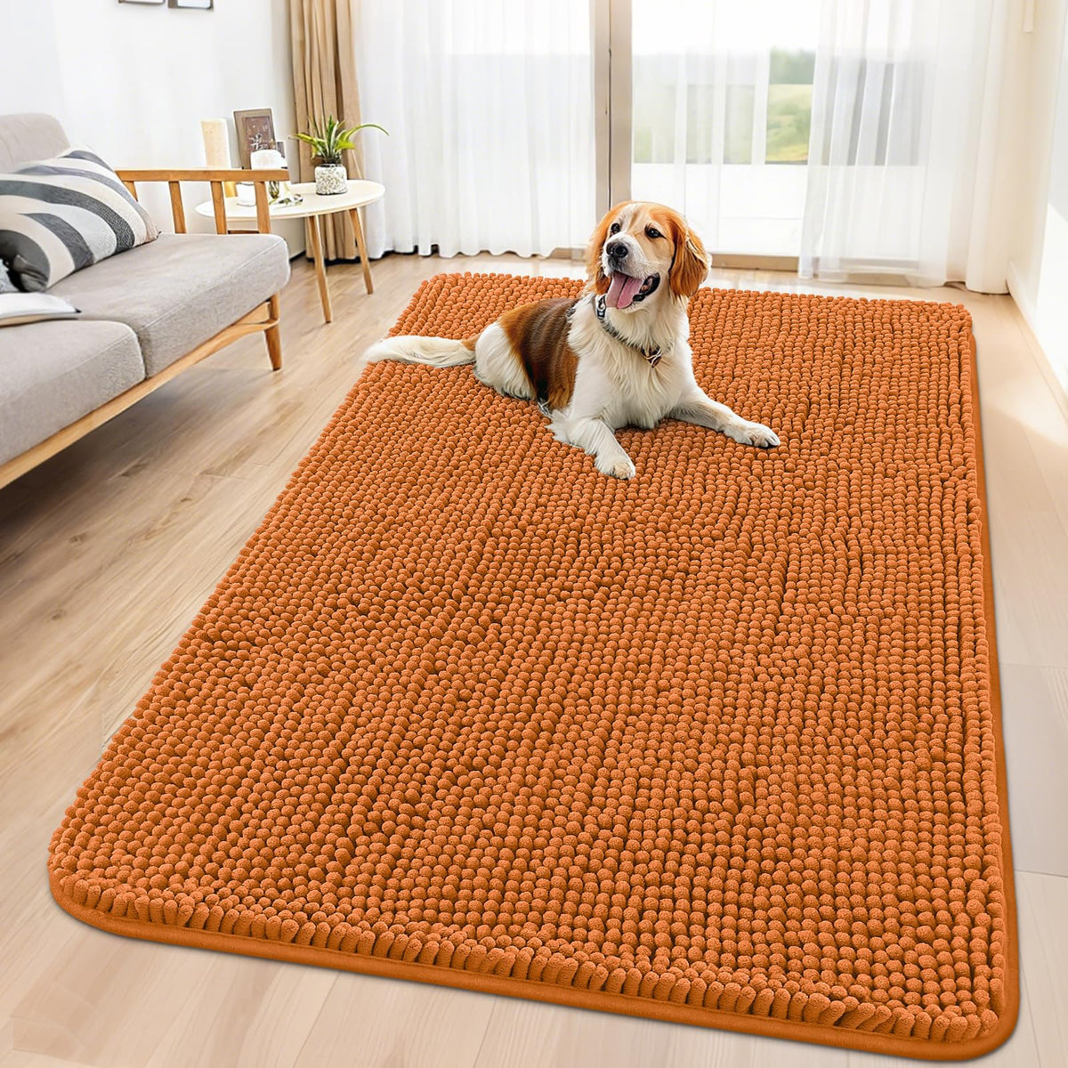 Smiry Dog Door Mat for Muddy Paws, Absorbent Dirt Trapper, Non-Slip Washable Chenille Entryway Rug for Inside Floor