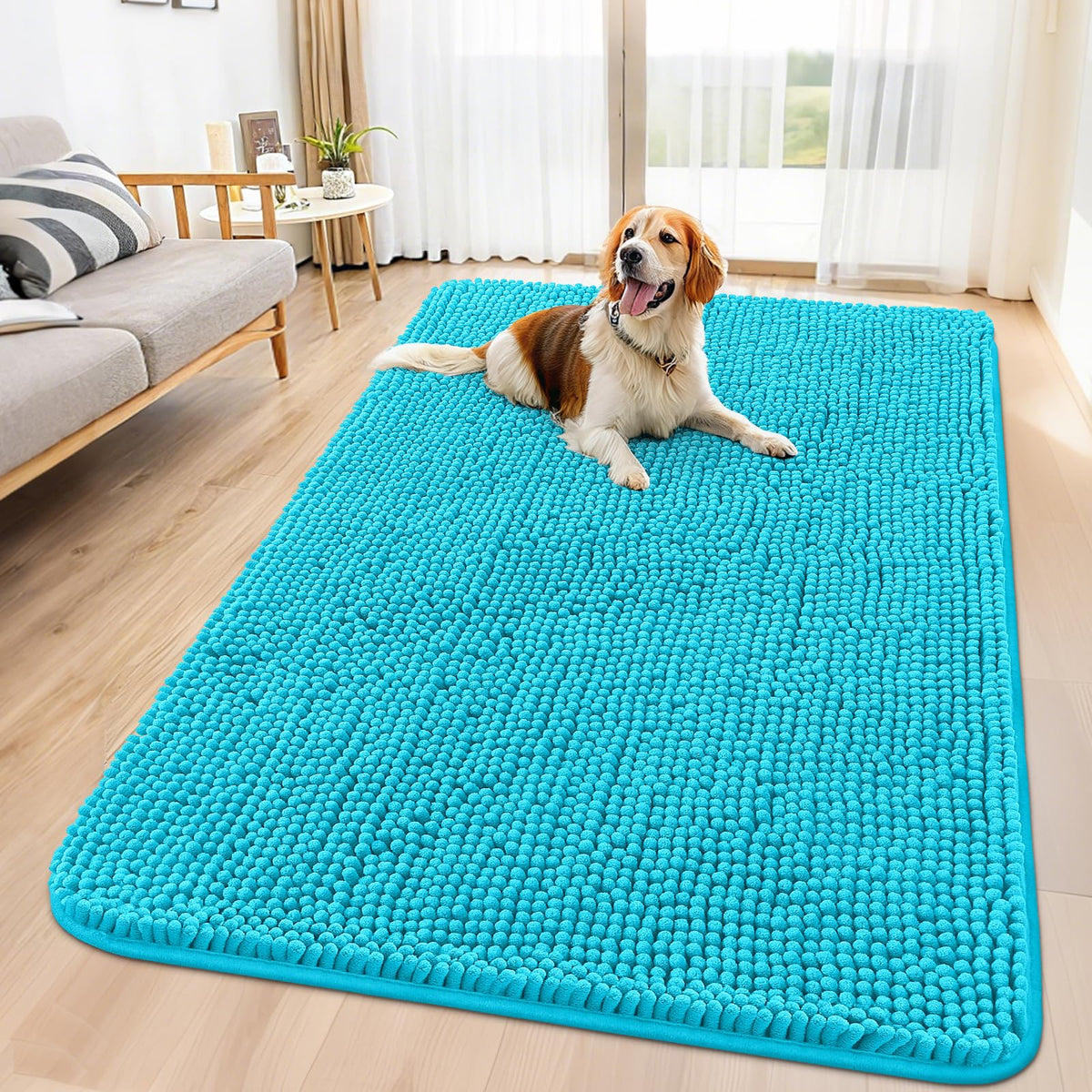 Smiry Dog Door Mat for Muddy Paws, Absorbent Dirt Trapper, Non-Slip Washable Chenille Entryway Rug for Inside Floor