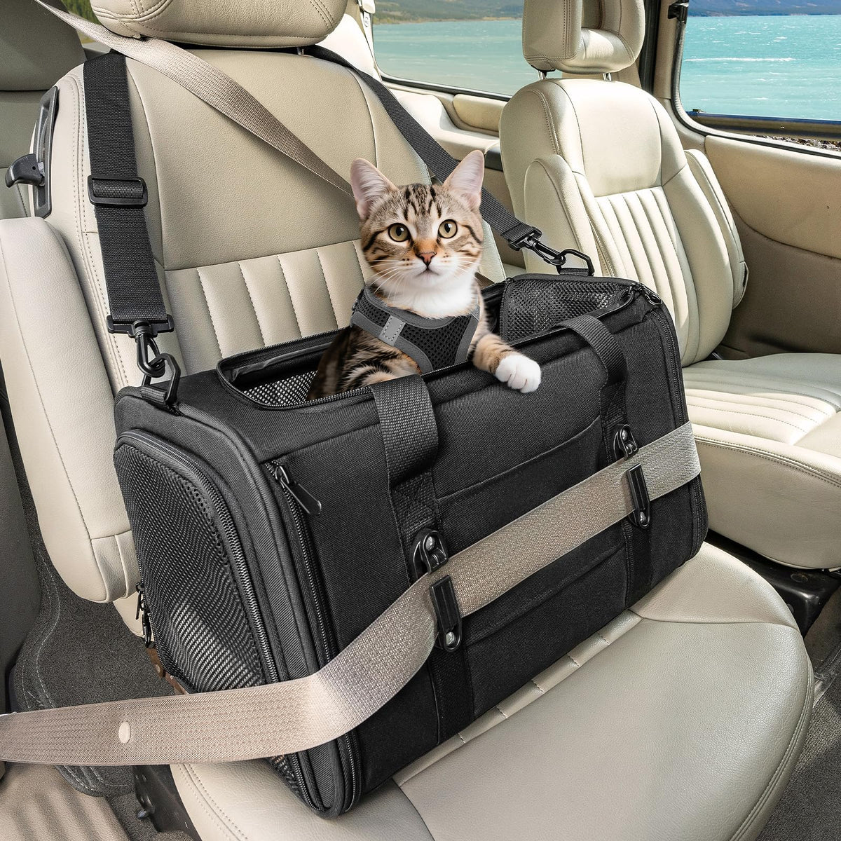 Petsfit 18 X 11 X 11 Airline Approved & Cat Car Carrier, with Patent Safety Buckles & Lockable Zippers Preventing Escapes, Breathable Mesh & Padded Mat — Portable, Stress-Free Travel Carrier