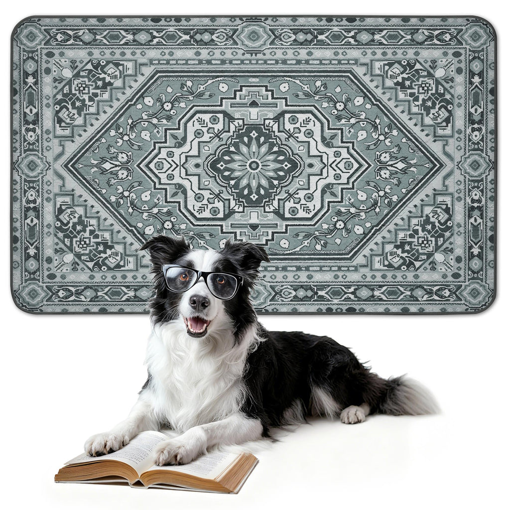 FXW Washable Pee Pads for Dogs, Super Absorbent