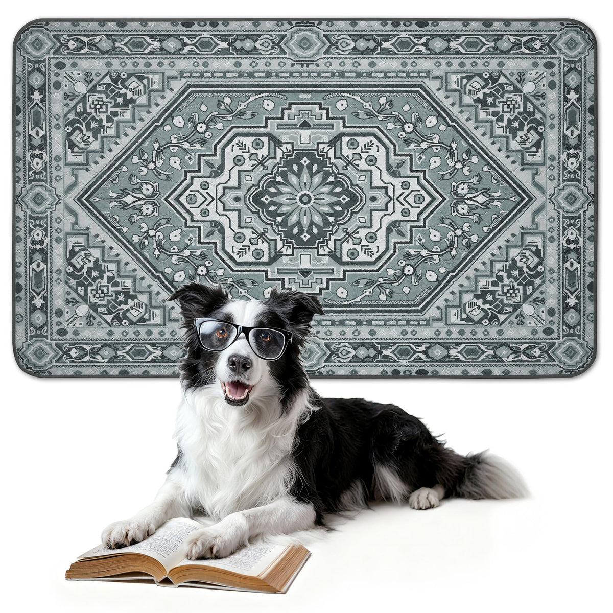 FXW Washable Pee Pads for Dogs, Super Absorbent