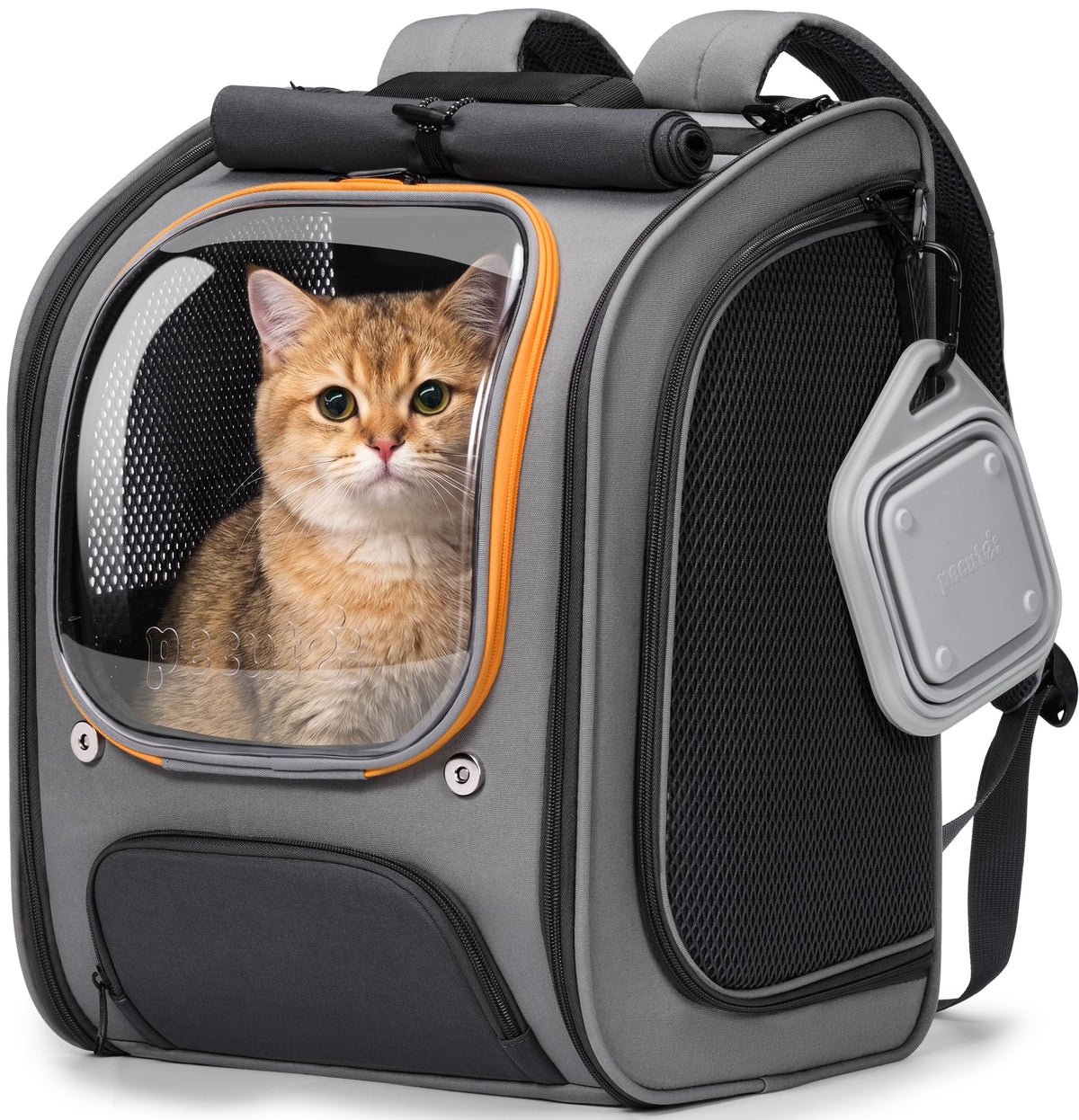 Pecute Bubble Cat Backpack Carrier for Travel