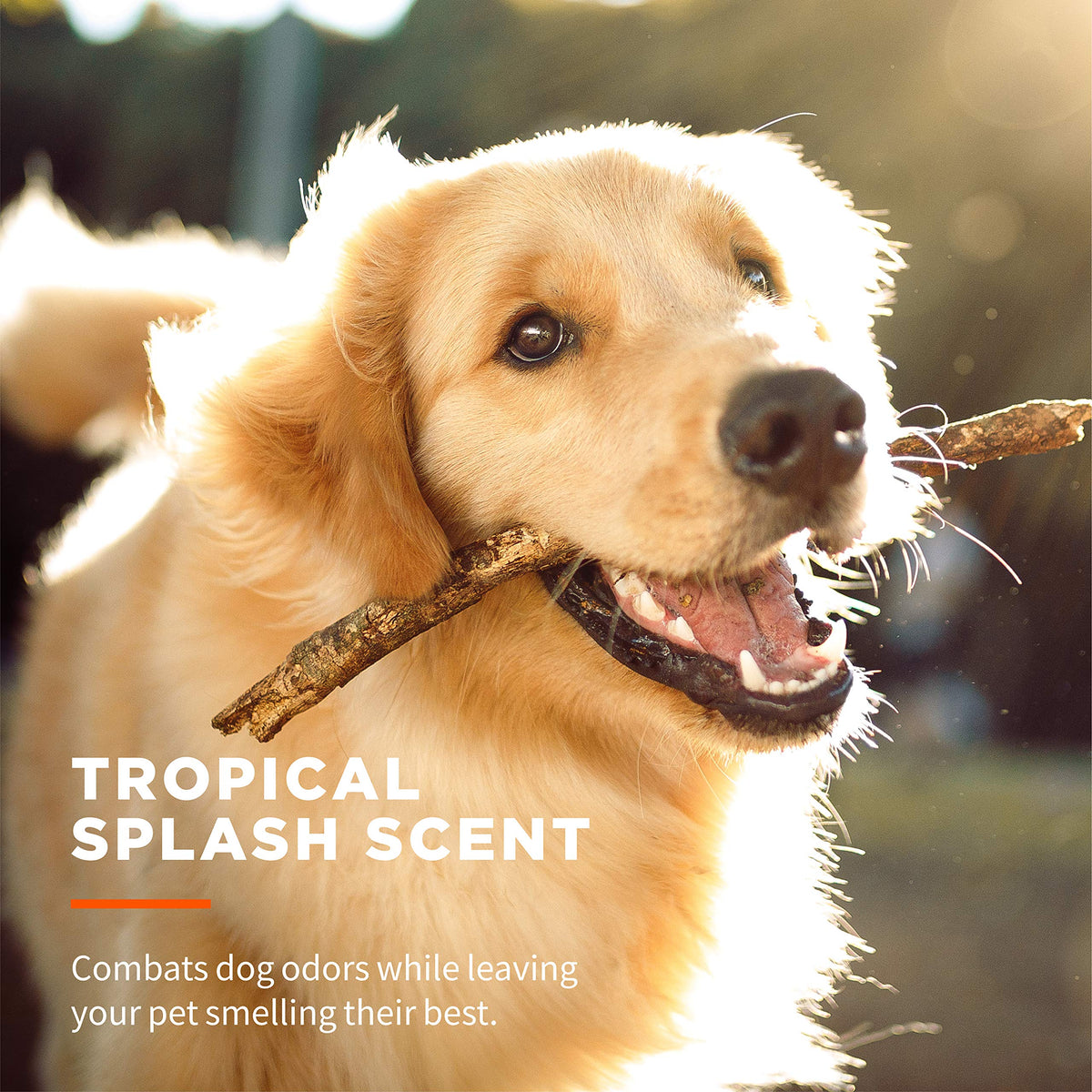 Wet Ones for Pets Antibacterial Dog Wipes, Tropical Splash, 50 Count, 12-Pk